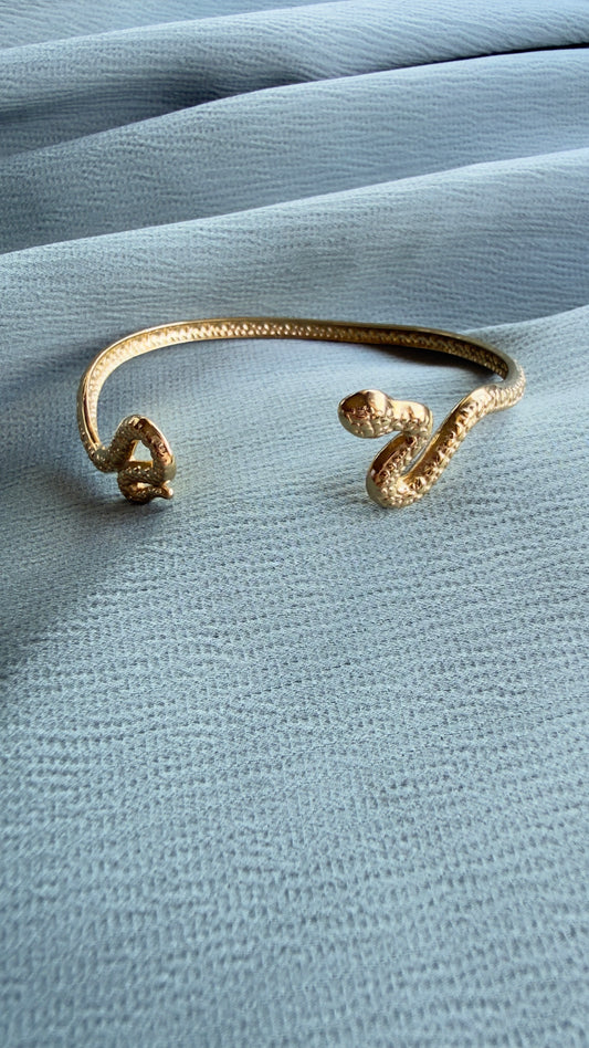 Pulseira Cobra Ajustável